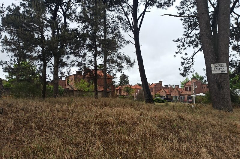 TERRENO CON FRENTE A 3 CALLES