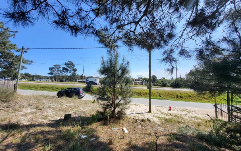 VENTA DE TERRENO SOBRE AV. GIANNATTASIO ACERA SUR