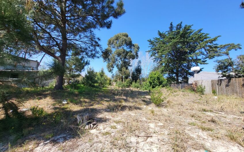 VENTA DE TERRENO SOBRE AV. GIANNATTASIO ACERA SUR