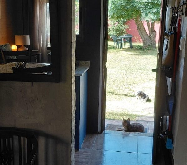 CHALET EN IMPECABLE ESTADO , PARA ENTRAR A VIVIR